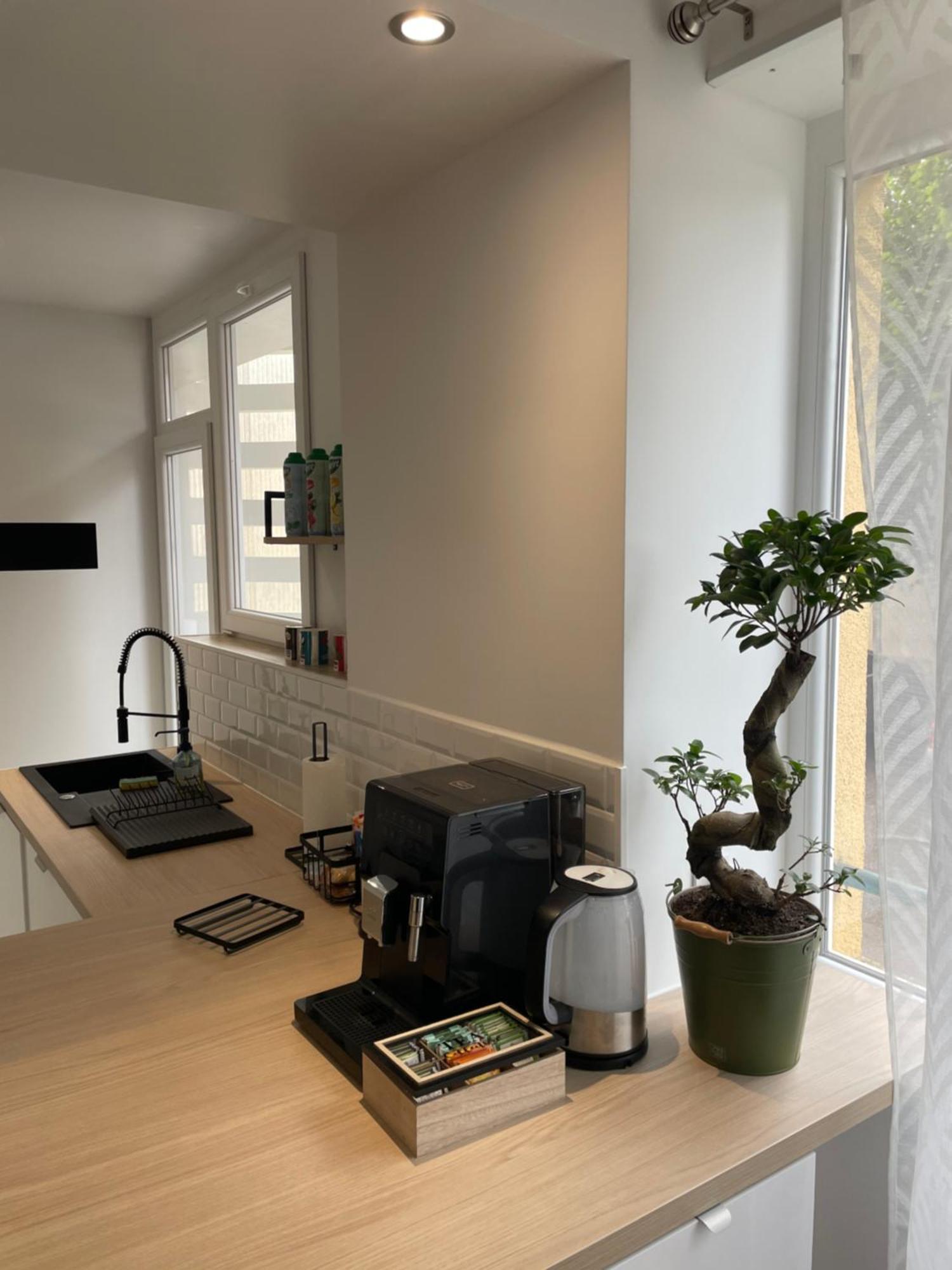 Appartement Du Lion Belfort Extérieur photo